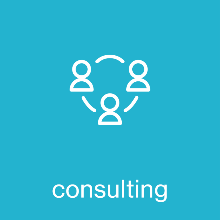 Icono consulting